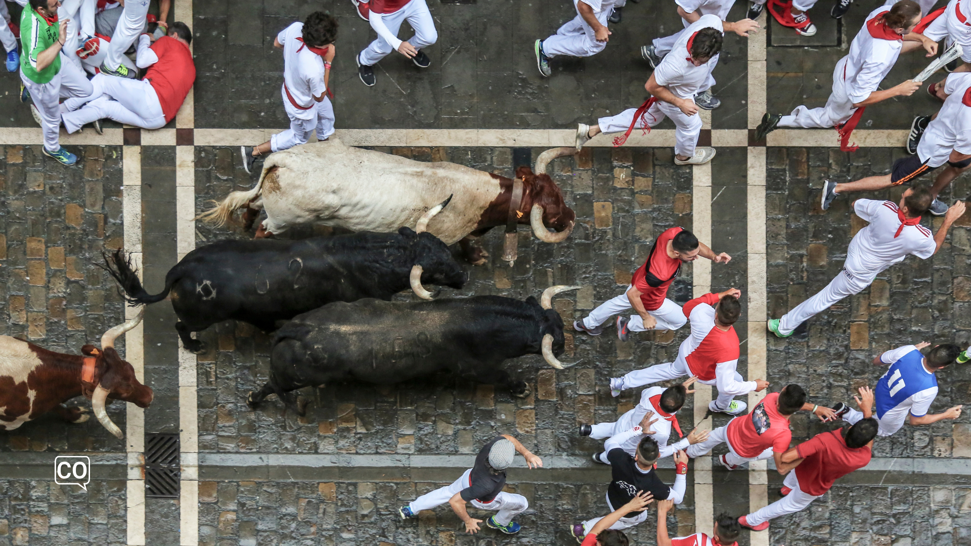 fighting bull tradition