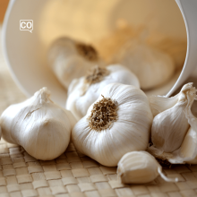  El ajo: The garlic (Spanish)