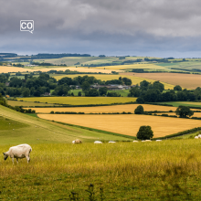  El campo: The countryside (Spanish)