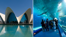 A2.13.4 Spanish culture: The Oceanográfico de Valencia