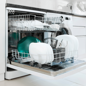  El lavaplatos: The dishwasher (Spanish)