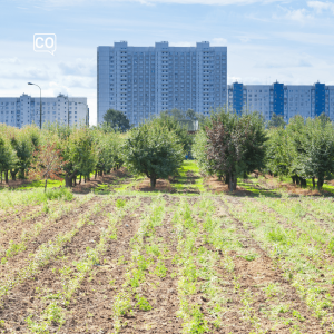  La urbanización: The housing development (Spanish)