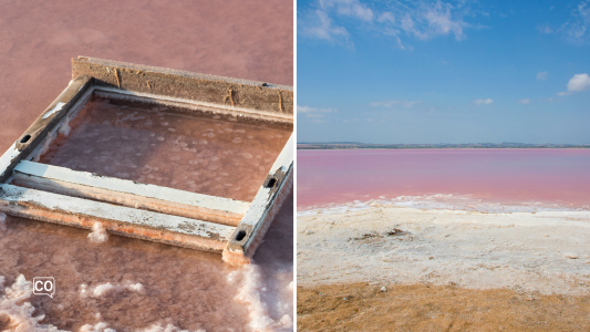 A2.11.4 Spanish culture: The salt flats of Torrevieja