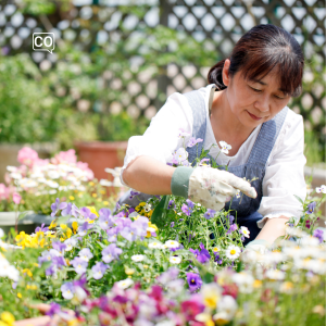  La jardinería: The gardening (Spanish)